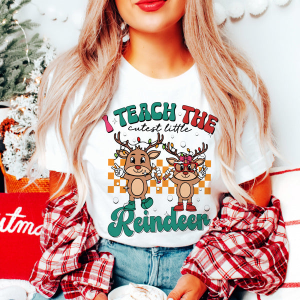 Graphic Tee, Tshirt, Teacher, Christmas, Holiday,Teach Reindeer